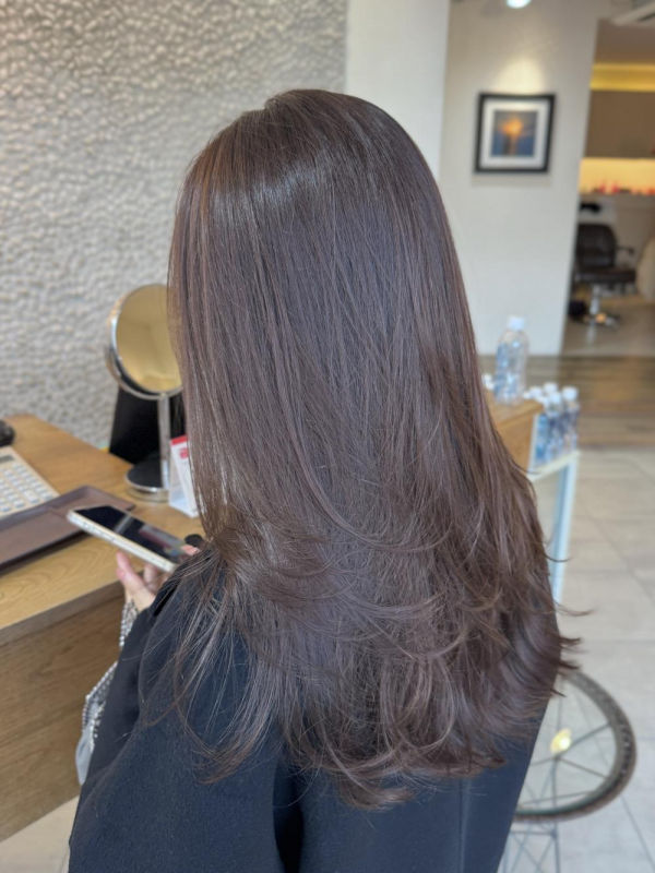 透け感ブラウン『ラベンダーブラウン』【a o i】