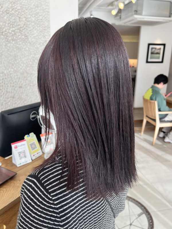 ツヤ感“カシスブラウン”【若月情】