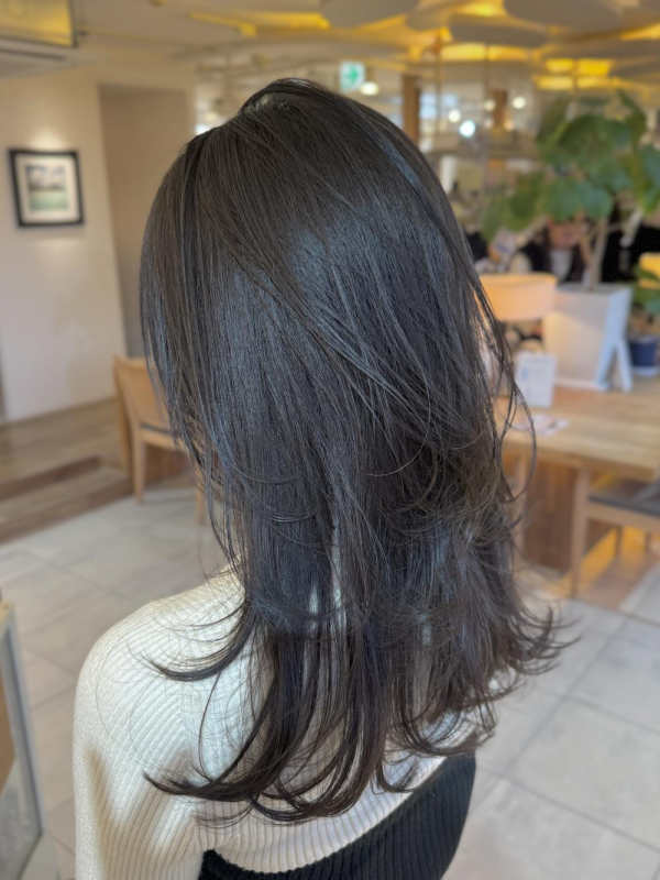 透明感カラー『くすみブラウン』【a o i】