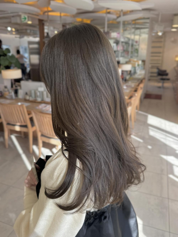 透明感カラー『くすみブラウン』【a o i】