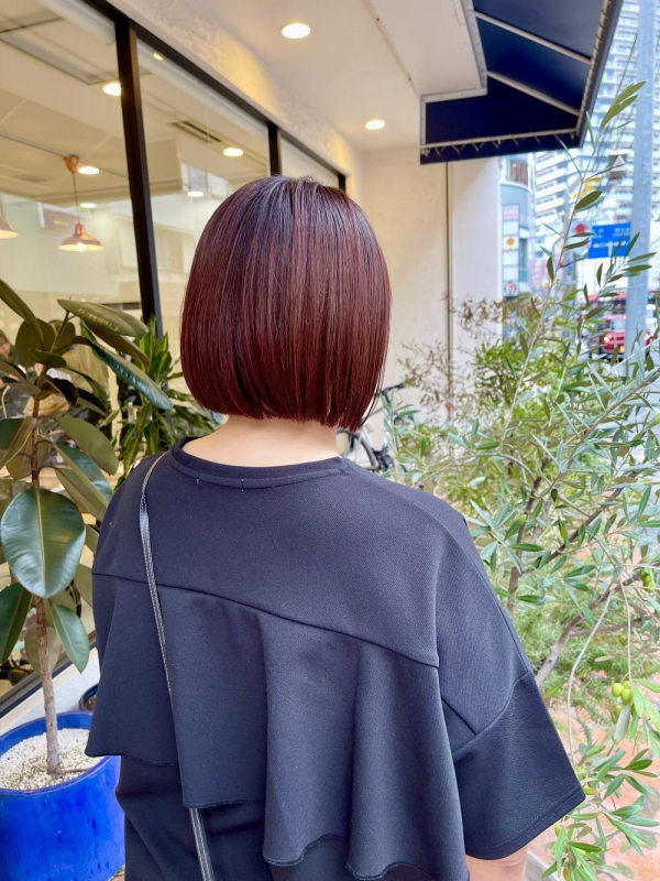 たかはしブログ　チェリーレッドとボブ