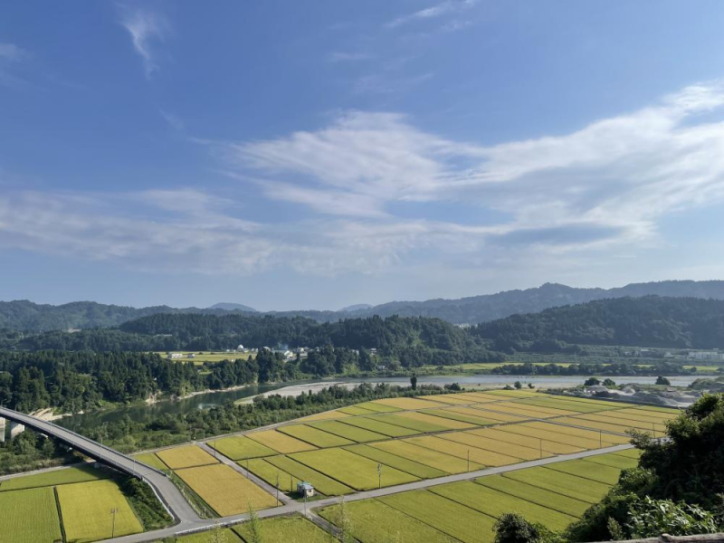 たかはしブログ　夏休みいただきます